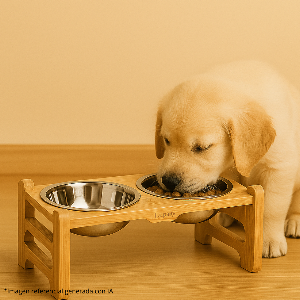Comedero Elevado para Mascotas 🐶🐱 con Doble Plato Inoxidable – Mejora la Postura