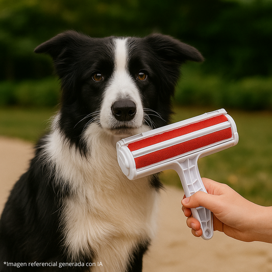 Cepillo Removedor de Pelos y Pelusas para Mascotas – Reutilizable 🐾💨