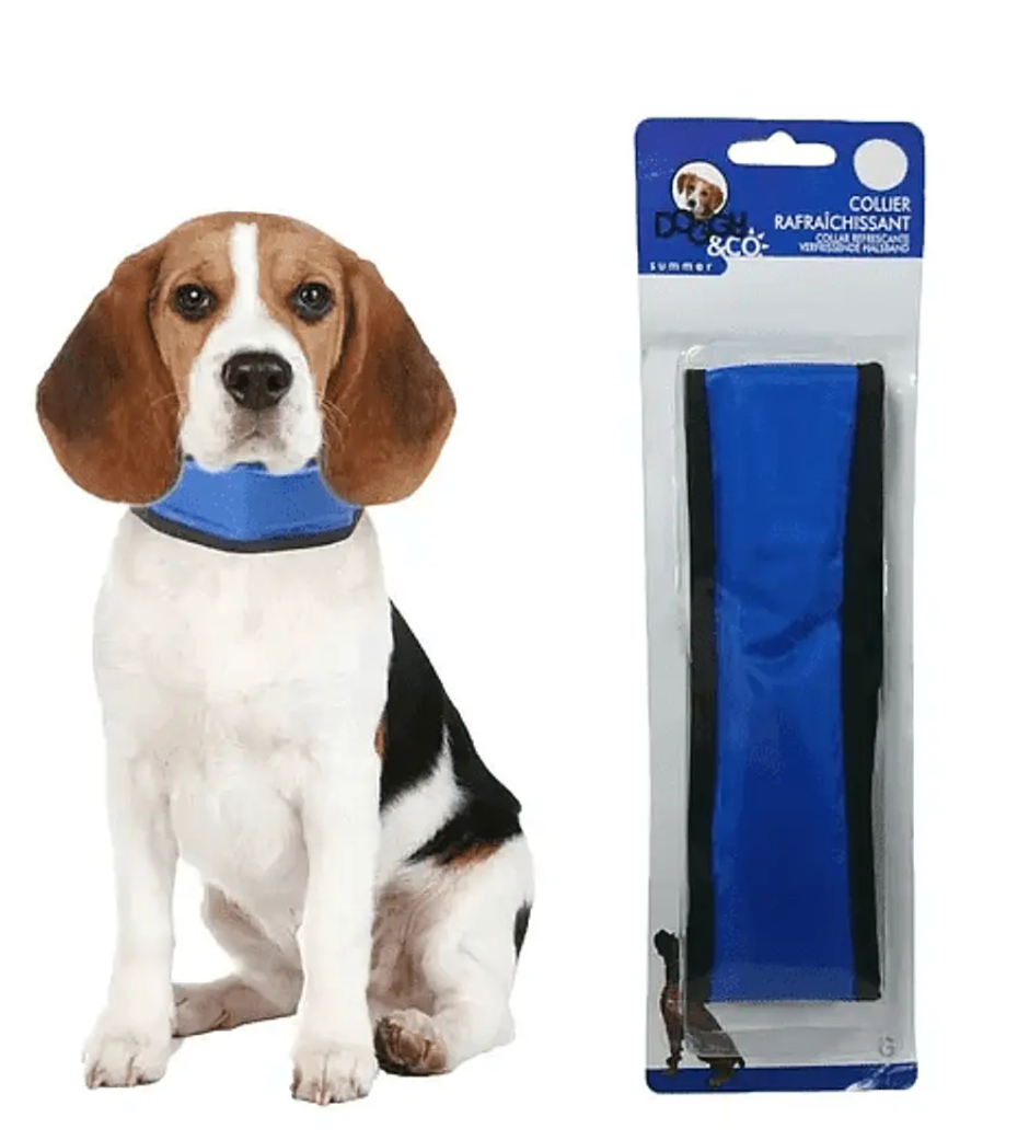 Collar Refrescante para Perros 🧊 | Ideal para el Verano y Golpes de Calor