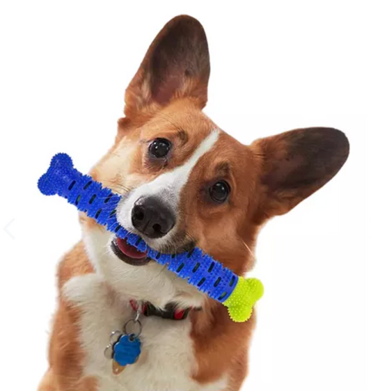 Cepillo Dental para Perros | Juguete Masticable Antiplaca