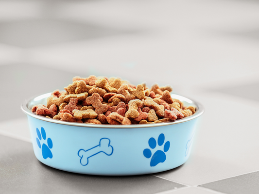 Errores Comunes al Alimentar a tu Mascota (y Cómo Evitarlos)