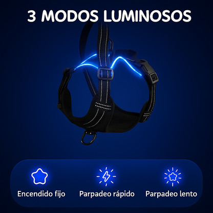 Arnés LED Antitirones y Recargable 💡🐾