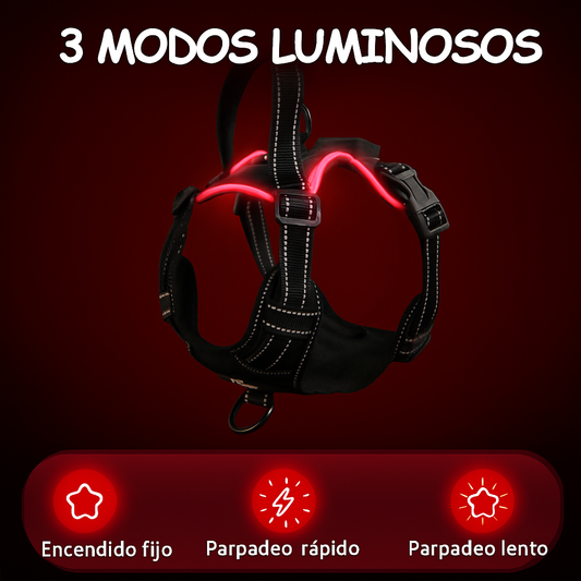 Arnés LED Antitirones y Recargable 💡🐾