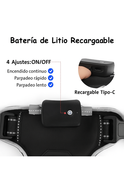 Arnés LED Antitirones y Recargable 💡🐾
