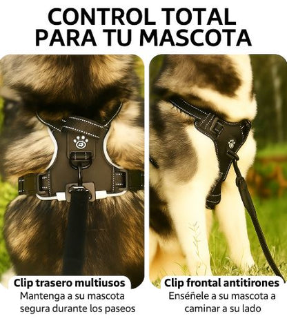 Arnés LED Antitirones y Recargable 💡🐾