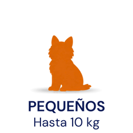 Tamaño compatible