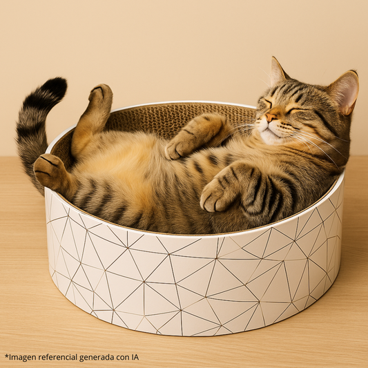 Rascador Redondo para Gatos 🐱 Juguete 2 en 1 – Descanso y Diversión