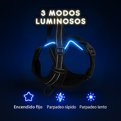 Arnés LED Antitirones y Recargable 💡🐾