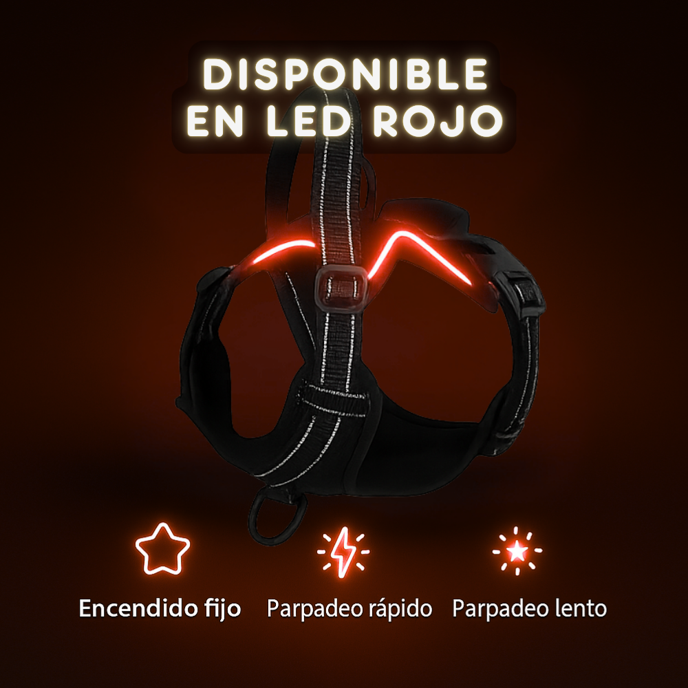 Arnés LED Antitirones y Recargable 💡🐾