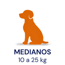 Tamaño compatible