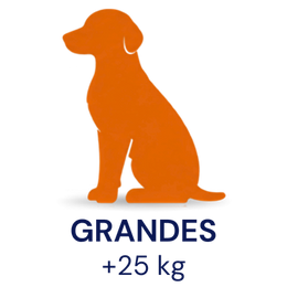 Tamaño compatible