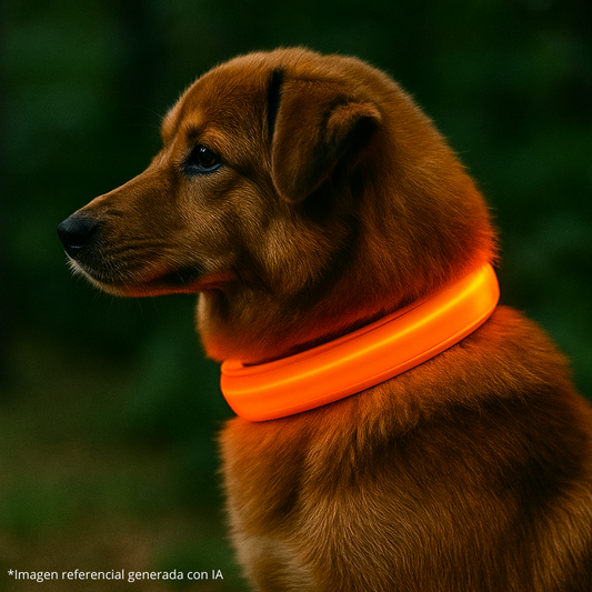 Collar Luminoso LED Recargable para Mascotas – Seguridad y Visibilidad en Paseos Nocturnos