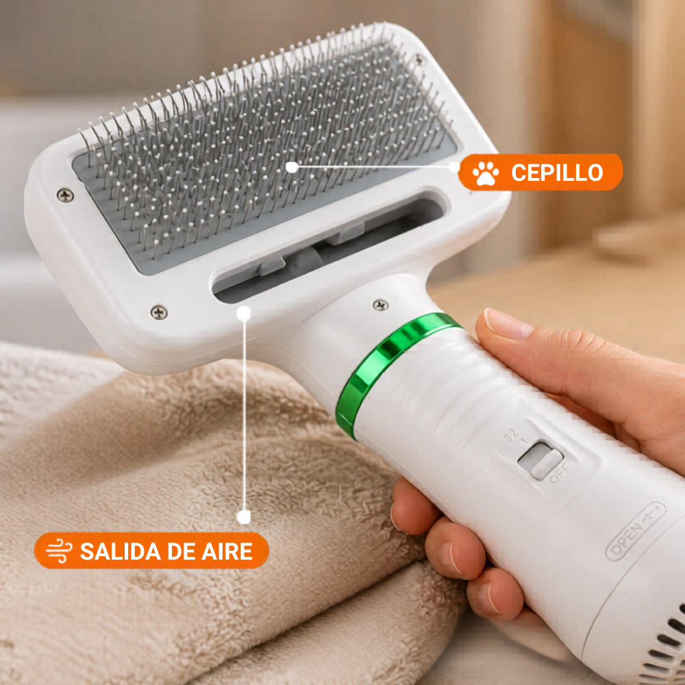 Secador & Cepillo 2 en 1