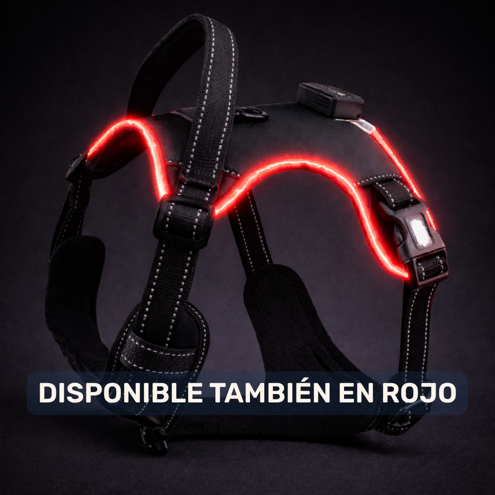 Arnés LED Antitirones y Recargable