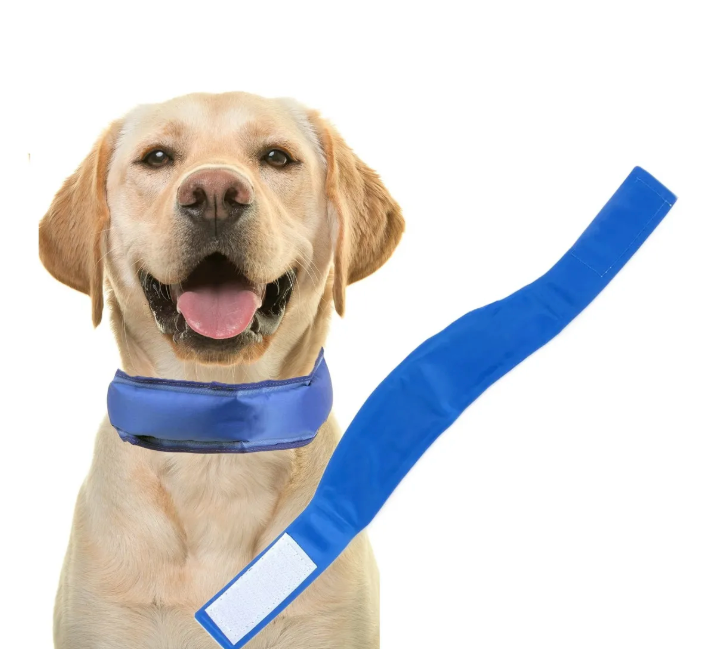 Collar Refrescante para Perros 🧊 | Ideal para el Verano y Golpes de Calor