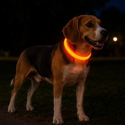Collar Luminoso LED Recargable