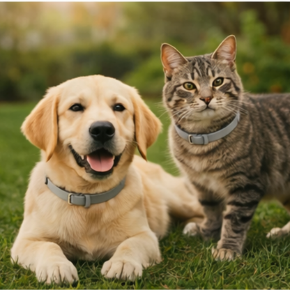 Collar Protector para Perros y Gatos