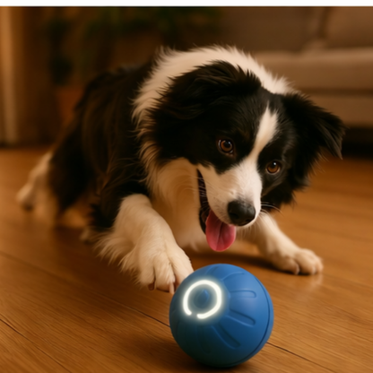 Pelota Smart