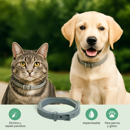 Collar Protector para Perros y Gatos